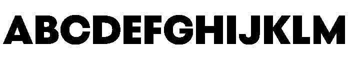 BestGroteskVARTrialWeb XBold Instance Font UPPERCASE