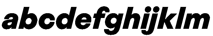 BestGroteskVARTrialWeb XBoldItalic Instance FONT
