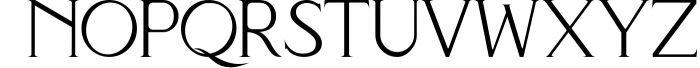 BHINEKA - Elegant Serif Font Font UPPERCASE