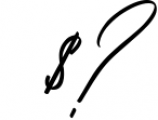 Bhuffets Modern Script Font Font OTHER CHARS