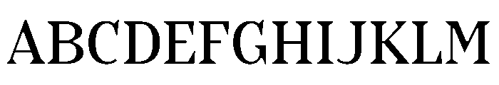 BHVSerif Text Font UPPERCASE