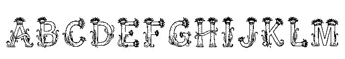 Biagi Regular FONT