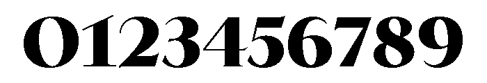 Biarritz Variable Black Font OTHER CHARS