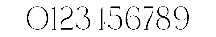 Bidant Font OTHER CHARS