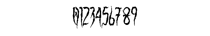 Binsruh Regular Font OTHER CHARS