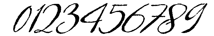 Bird life Regular Font OTHER CHARS