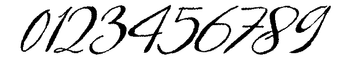 Birdlife-Regular Font OTHER CHARS