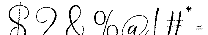 Birthday Signature Distort Reg Font OTHER CHARS
