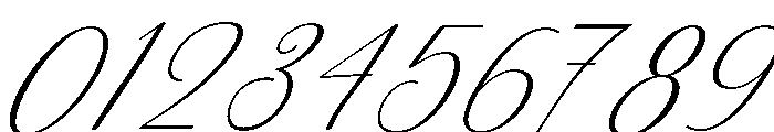 Birthday Signature Slant 19 Reg Font OTHER CHARS