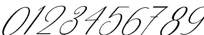 Birthday Signature Slant 23 Reg Font OTHER CHARS