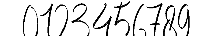 BirthdayCalligraphy-Regular Font OTHER CHARS