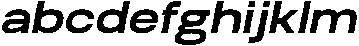 Biarty Bold Oblique otf (700) FONT