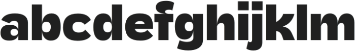 Bigek Black otf (900) Font LOWERCASE