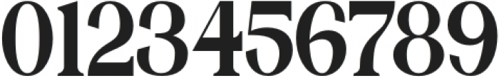 Bilgosia Serif otf (400) Font OTHER CHARS