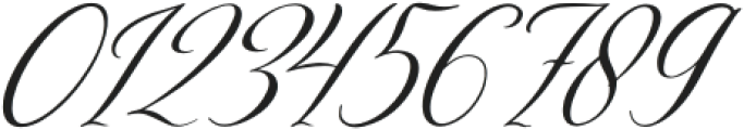 Bionley Italic otf (400) Font OTHER CHARS