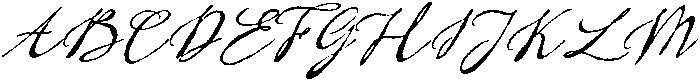 Birdlife-Regular otf (400) Font UPPERCASE