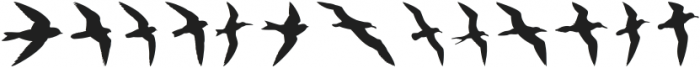 BirdsFlying Regular otf (400) Font UPPERCASE