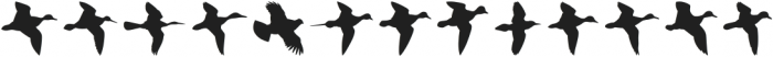 BirdsFlying Regular otf (400) Font LOWERCASE