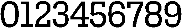 Birdwood Medium ttf (500) Font OTHER CHARS