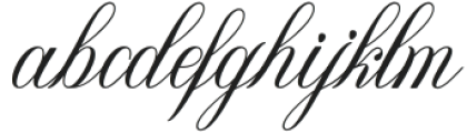 Birmigham Script Regular otf (400) Font LOWERCASE