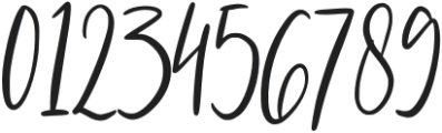 Biskidy Script Regular otf (400) Font OTHER CHARS