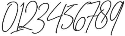 Bitlamero Slant Bold Script Bold Italic otf (700) Font OTHER CHARS