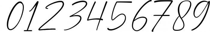 Bierang Signature Font Font OTHER CHARS