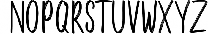 Bikarosta Font Duo with Extras 1 Font LOWERCASE