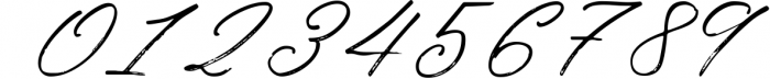 Birdinaire | A Modern Calligraphy Font Font OTHER CHARS