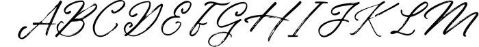 Birdinaire | A Modern Calligraphy Font Font UPPERCASE