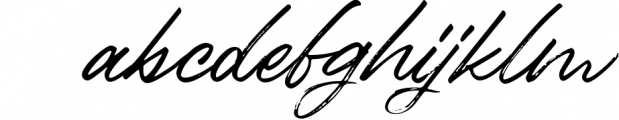 Birdinaire | A Modern Calligraphy Font Font LOWERCASE