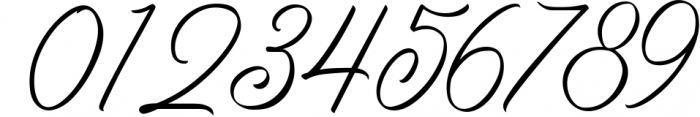 Birmingham - Signature Script Font OTHER CHARS