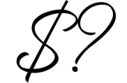 Birmingham - Signature Script Font OTHER CHARS