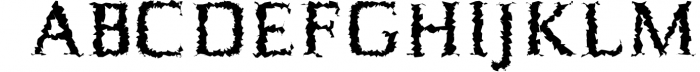 Birtle Serif Font Family 1 Font UPPERCASE