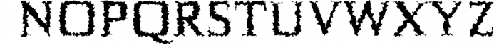 Birtle Serif Font Family 1 Font UPPERCASE
