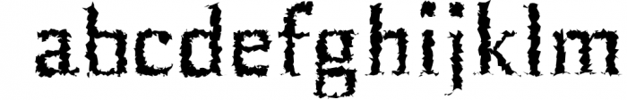 Birtle Serif Font Family 1 Font LOWERCASE
