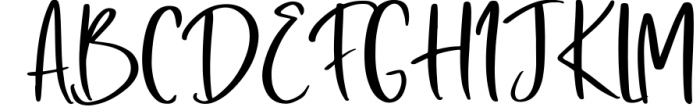 Bithera Modern Font Font UPPERCASE