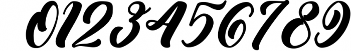 Biyonella - Retro Bold Script Font Font OTHER CHARS