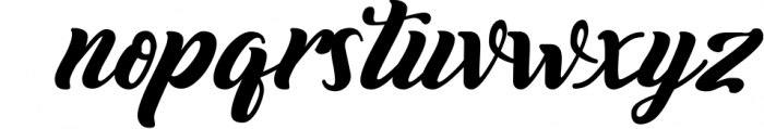 Biyonella - Retro Bold Script Font Font LOWERCASE