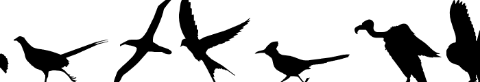 Birds of a Feather Font LOWERCASE