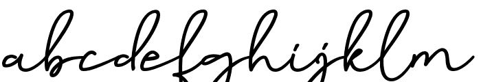 Birmingham Signature Font LOWERCASE