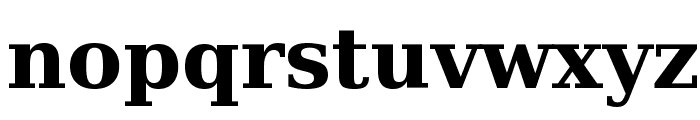 Bitstream Vera Serif Bold Font LOWERCASE