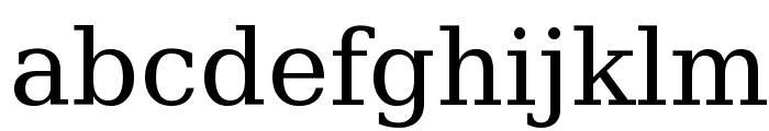 Bitstream Vera Serif Font LOWERCASE