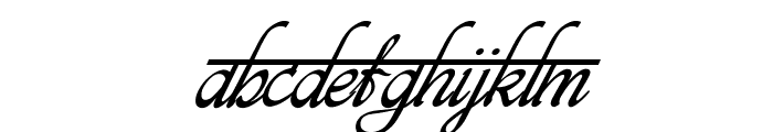 bits indian calligra Italic Font LOWERCASE