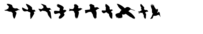 Birds Flying Regular Font OTHER CHARS