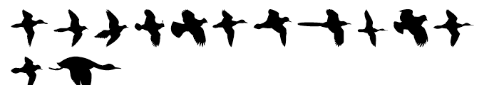 Birds Flying Regular Font LOWERCASE
