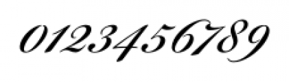 Bickham Script® Pro Regular Font OTHER CHARS
