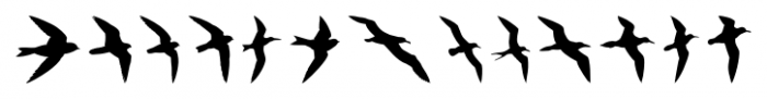 Birds Flying Regular Font UPPERCASE