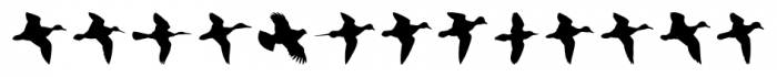 Birds Flying Regular Font LOWERCASE