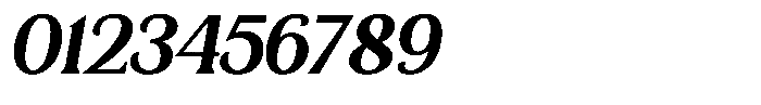 Bianca Morris Italic Font OTHER CHARS
